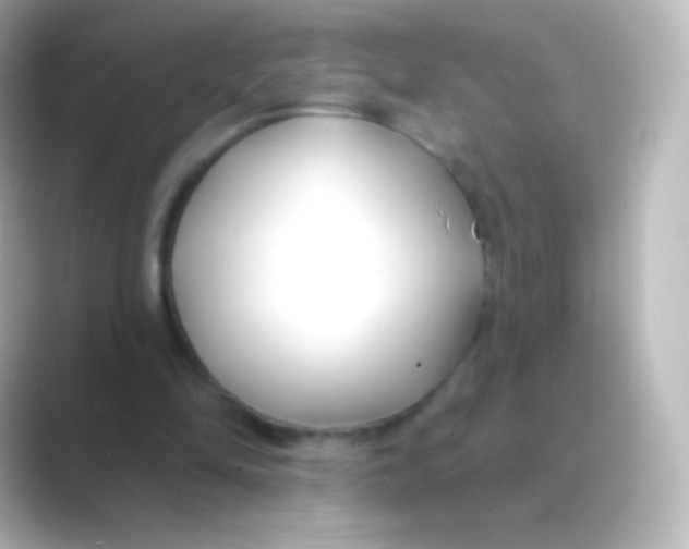 X0000088710294200706212008