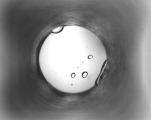 X0000088710296200706212007