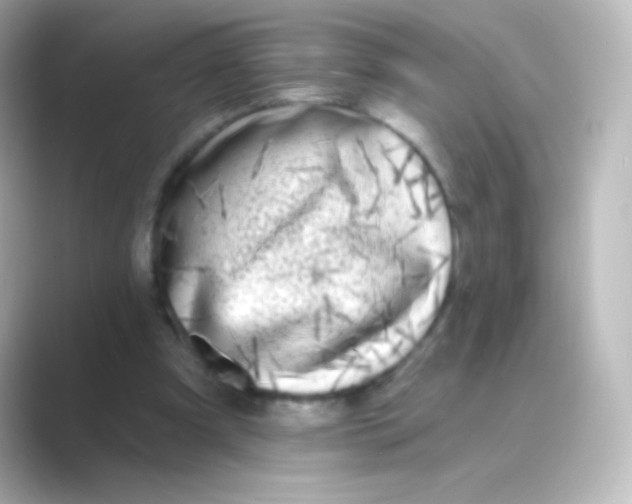 X0000088710297200706212007