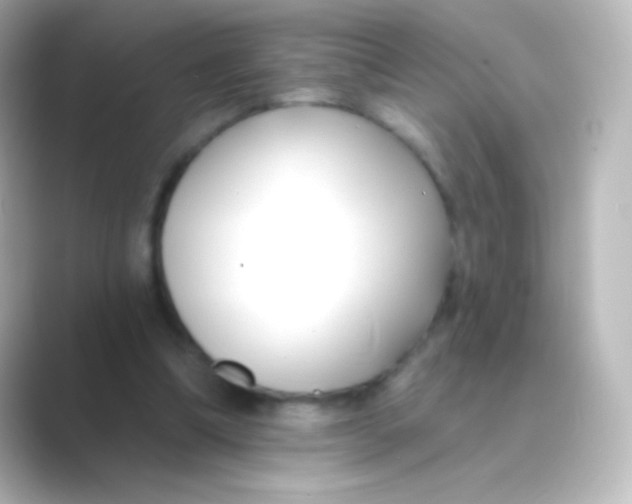 X0000088710298200706212007