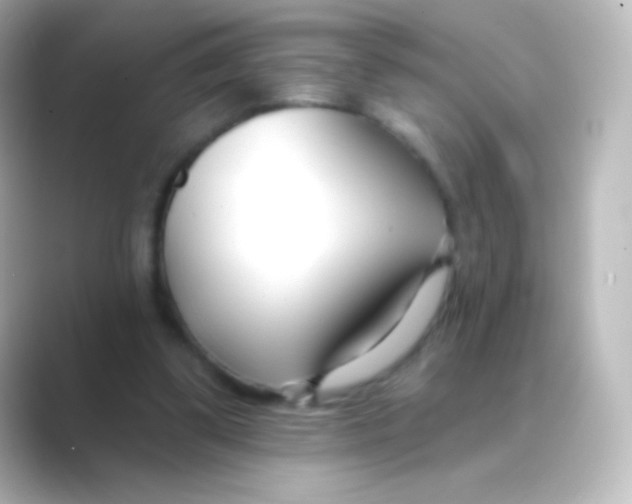 X0000088710299200706212007