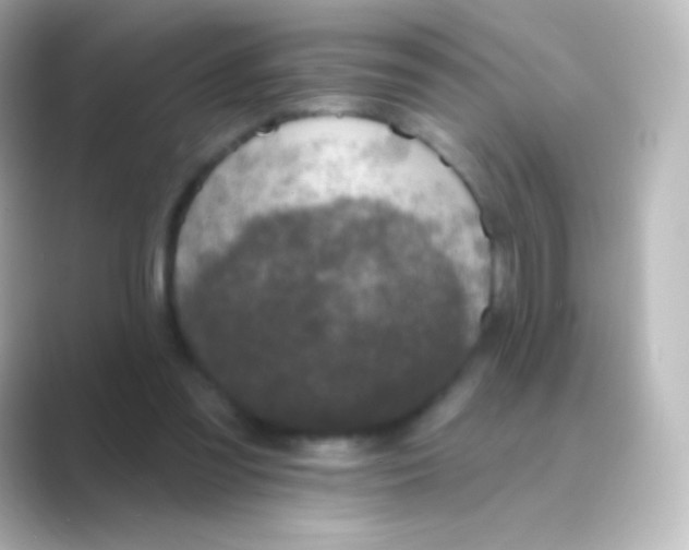 X0000088710301200706212007