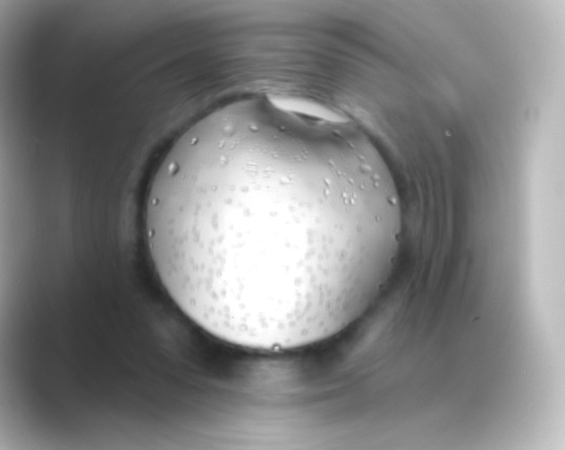 X0000088710303200706212007