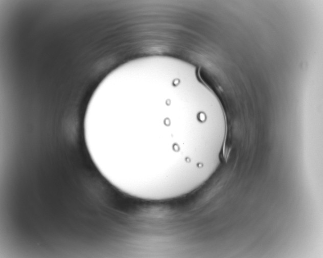 X0000088710304200706212007