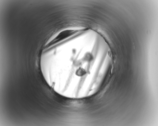 X0000088710305200706212007