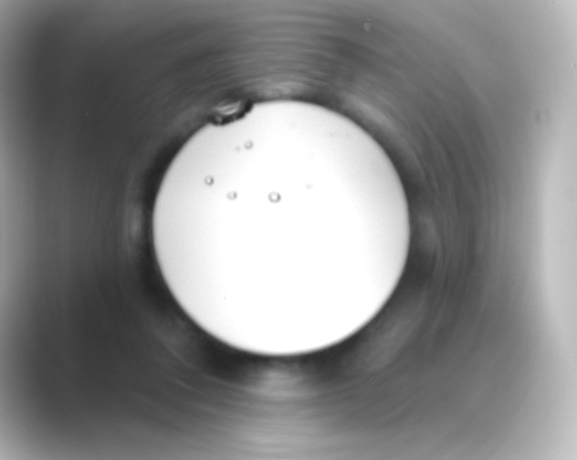 X0000088710308200706212007