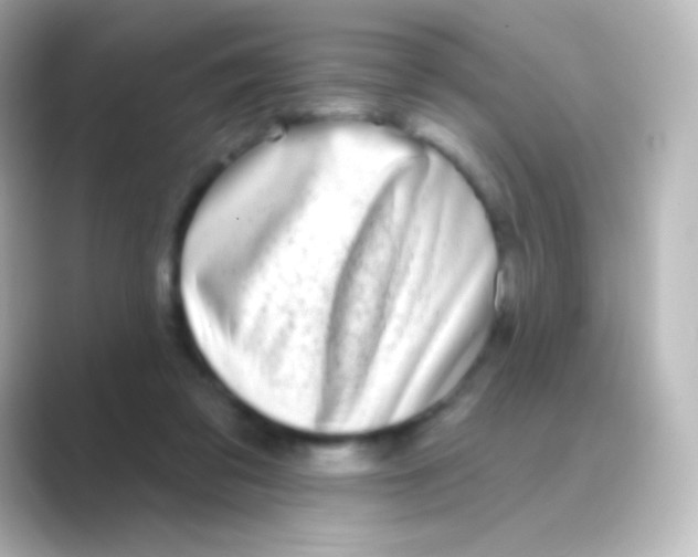 X0000088710309200706212007