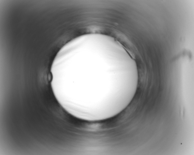 X0000088710313200706212007