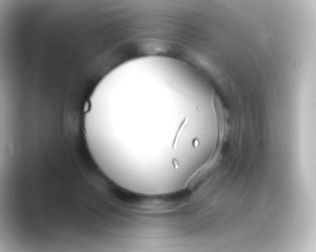 X0000088710315200706212007