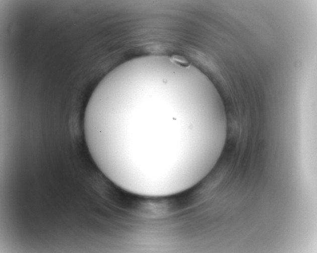 X0000088710317200706212007