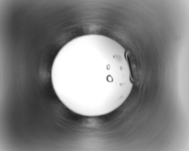 X0000088710324200706212007