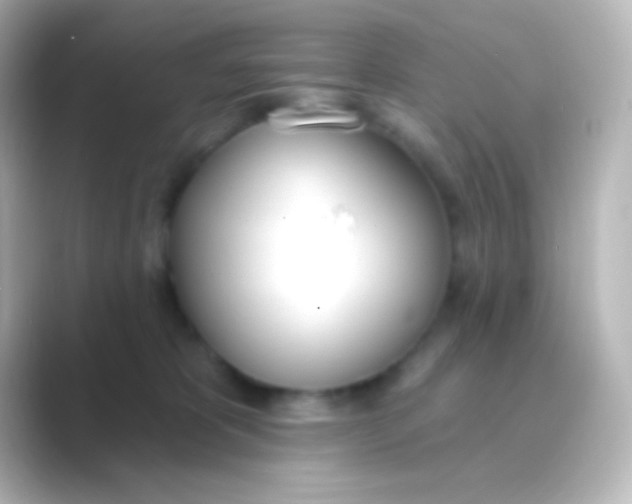 X0000088710325200706212007