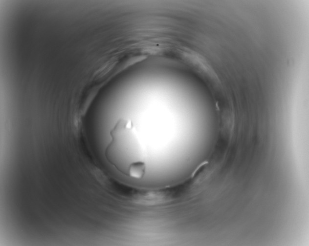 X0000088710329200706212007