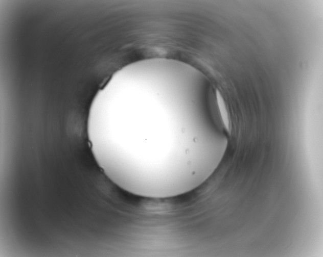 X0000088710331200706212007