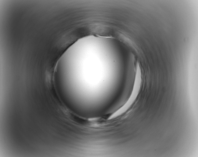 X0000088710333200706212007