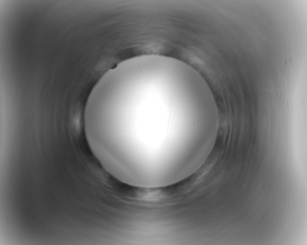 X0000088710334200706212007