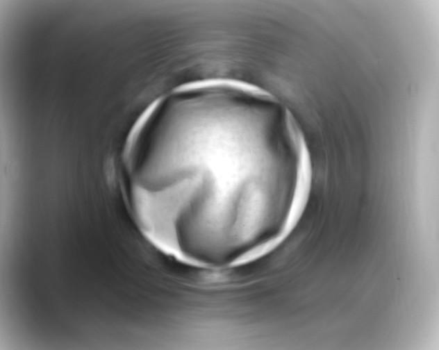 X0000088710335200706212007