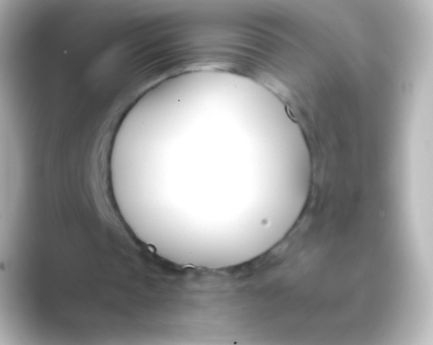 X0000088710337200706212006