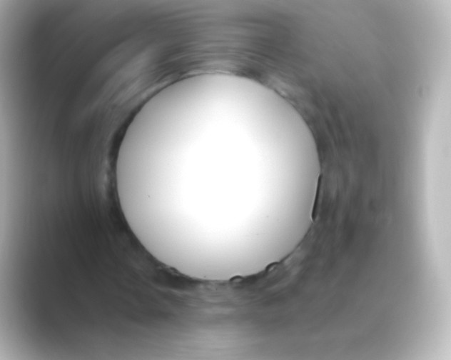 X0000088710338200706212006