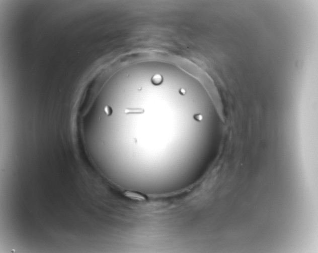 X0000088710340200706212007