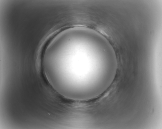 X0000088710343200706212007