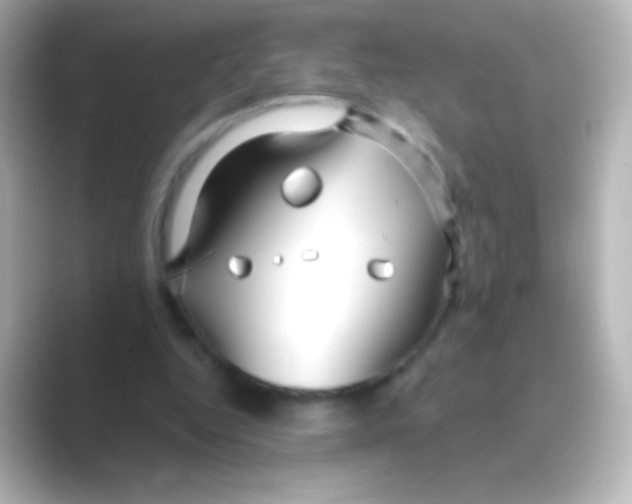 X0000088710344200706212007