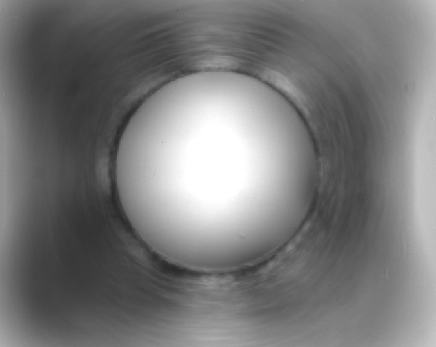 X0000088710345200706212007