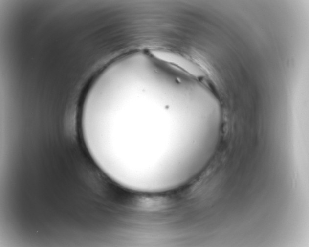 X0000088710346200706212007