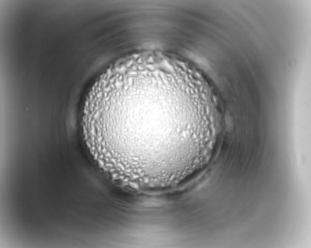 X0000088710347200706212007