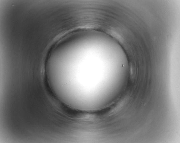 X0000088710348200706212007