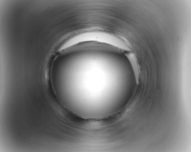 X0000088710350200706212007