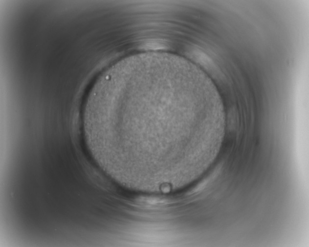 X0000088710351200706212007