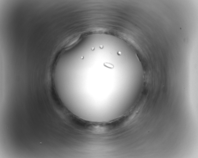 X0000088710352200706212007