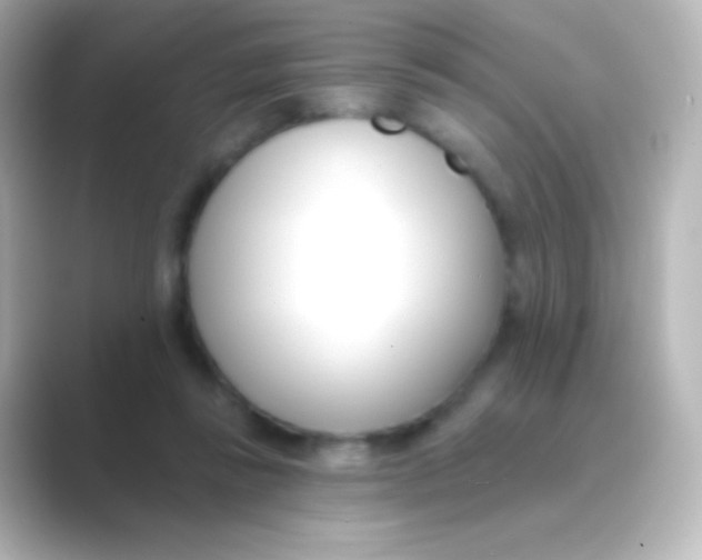 X0000088710355200706212007