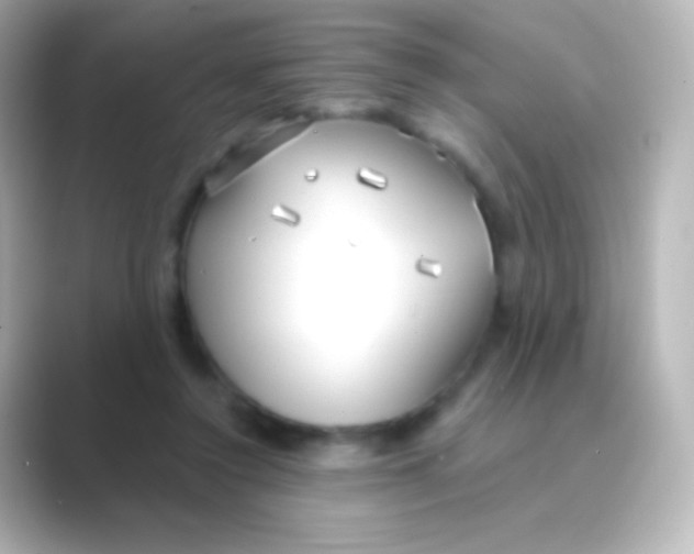 X0000088710356200706212007