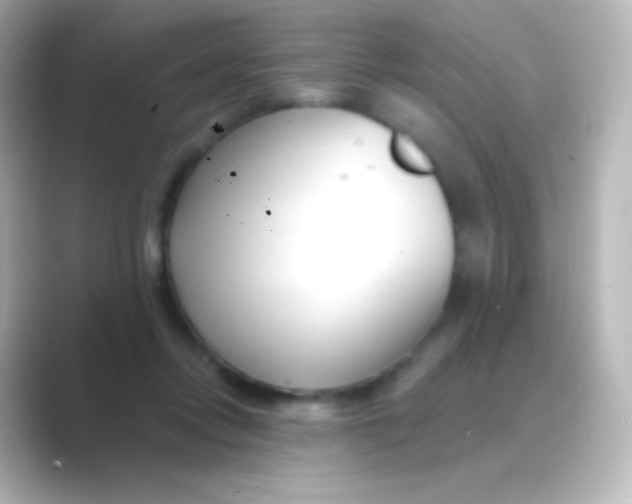 X0000088710358200706212007