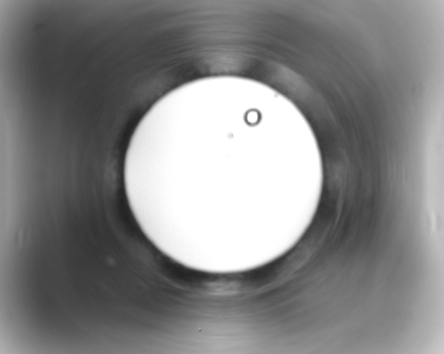 X0000088710362200706212007