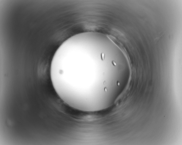 X0000088710364200706212007