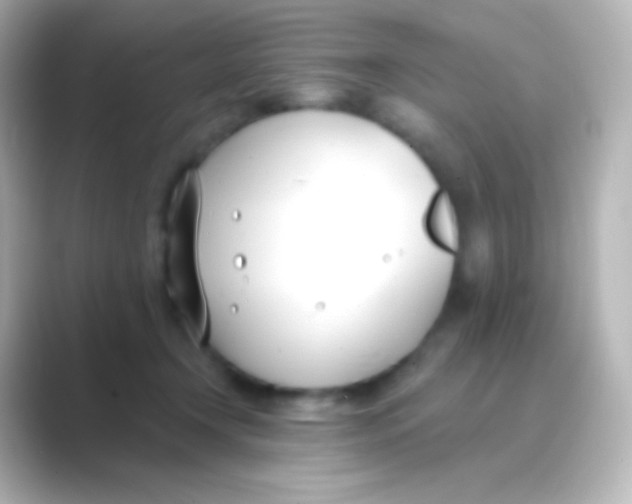 X0000088710366200706212007