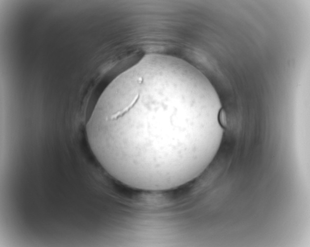 X0000088710367200706212007