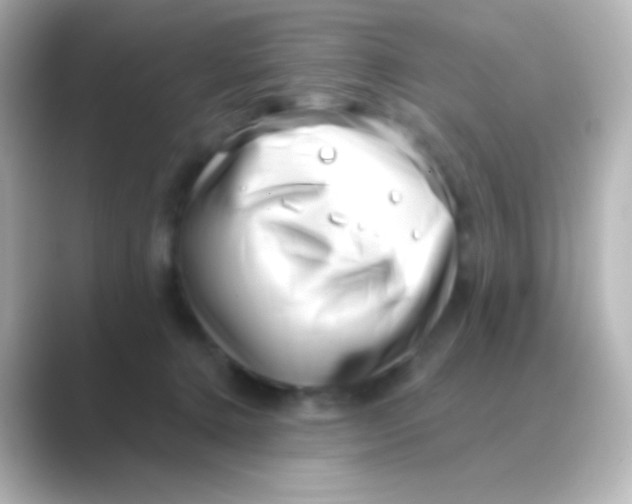 X0000088710368200706212007