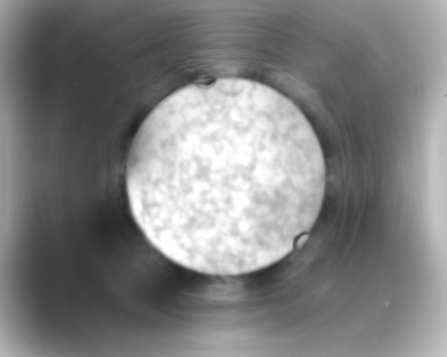 X0000088710369200706212007