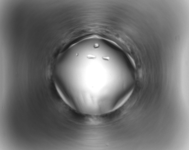 X0000088710372200706212007