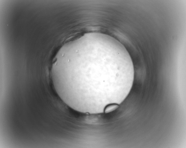 X0000088710373200706212007