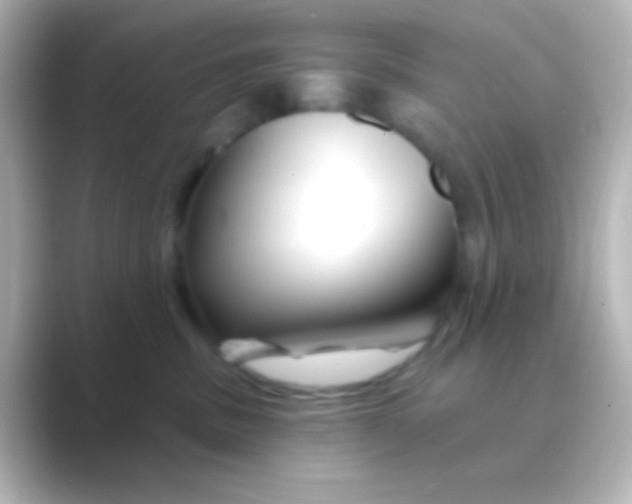 X0000088710379200706212007