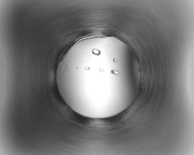 X0000088710380200706212007