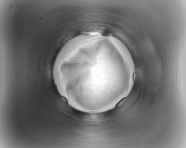 X0000088710381200706212007