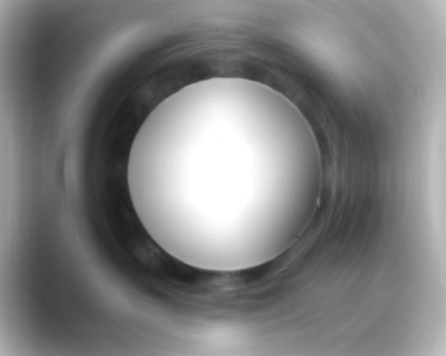 X0000088710383200706212007