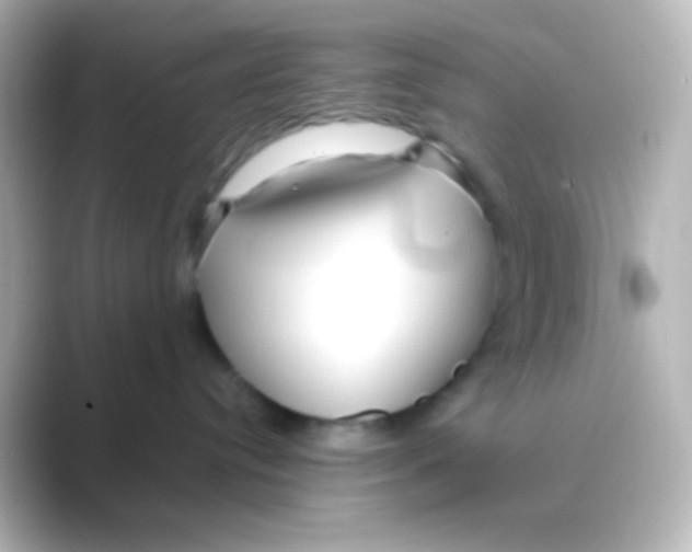 X0000088710384200706212007