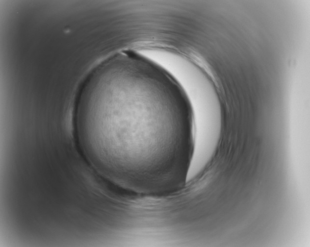 X0000088710387200706212006